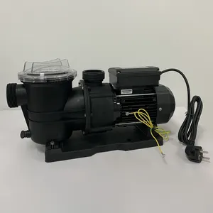 Swimming Pump Pool High Quality Filter Pump Swimming Pool Variable Speed Pool Pump