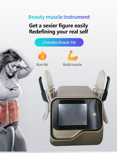 2025 Professional 2 Handles High Intensity Electromagnetic No-invasive Fat Burning Muscle Sculpting Tesla Beauty Machine - Product Image 3