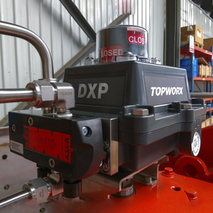 Controladores TopWorx DXP con Tecnología GO Switch Sensing, Diseño de Leva Único, Levas Codificadas por Colores, Interruptores de Límite, Piezas - Product Image 5