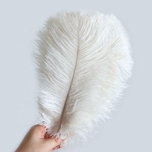 Chất lượng cao 25-30cm trắng đà điểu lông mịn Fluffy lớn nhuộm lông cho đám cưới Bán buôn giá rẻ - Product Image 2