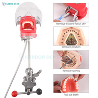 Equipo de Cabeza de Maniquí para Simulación Dental de Alta Calidad al por Mayor de Fábrica, Herramientas de Entrenamiento para Enseñanza Dental