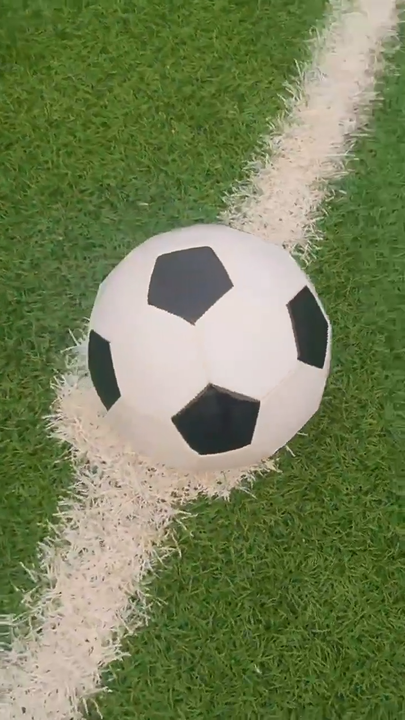 Official Size Five Soccer Ball Custom Thermal Bonded Training/Game