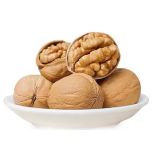 China origin wholesale price raw walnut shell blanched walnut walnuts with shell