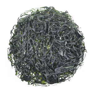 Fonte do restaurante 500g kg máquina 1 alga <span class=keywords><strong>wakame</strong></span> algas secas fatias - Product Image 1