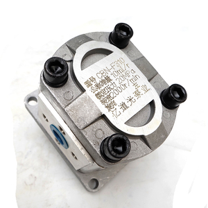 Haute qualité <span class=keywords><strong>CBTs</strong></span> conique déplacement G314 pompe hydraulique - Product Image 3