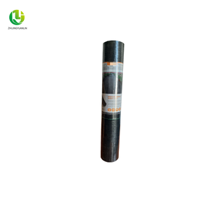 Đen cỏ bằng chứng vải thoáng khí PE nhựa vườn lưới Vườn Nhà Kính làm cỏ - Product Image 4