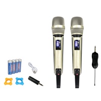 UT4000B Microphone portable universel sans fil à 2 canaux pour les activités de plein air
