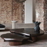 Table basse en bois massif 2025, art de salon minimaliste moderne personnalisé, design unique, meubles de maison irréguliers