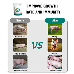Integratore Alimentare per Suinetti, Soluzione Orale per Aumento di Peso e Stimolazione dell'Appetito, Booster di Crescita per Maiali - Product Image 2