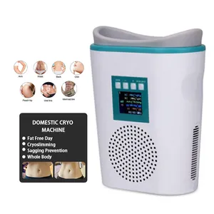 Nieuwste Product 2024 Mini Cryolipolyse Machine Cryolipolysis Cryolipolysis Machine Buikriem Gewichtsverlies Schoonheidsmachine