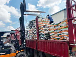 Non promettere bolle 8.5 Mpa 2400 Mesh 95% bianchezza gesso polvere di Paris Silicone stampi dimensione stabile vetro superficie gesso - Product Image 6