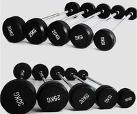 Barre de musculation en TPU / Équipement de gym commercial / Barre de dips pour triceps / Barre d'haltères