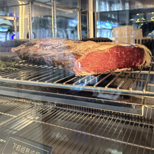 Nuovo Frigorifero Commerciale per la Stagionatura della Carne, per Steakhouse di Alta Gamma, a Risparmio Energetico, in Acciaio Inossidabile - Product Image 6