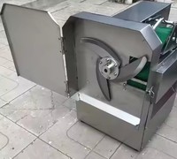 220V Huishoudelijke groentesnijmachine Automatische aardappel- en selderijsnijder met nieuwe motor en tandwiel voor het snijden van fruit