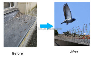 Paku Pengusir Burung Archerfish dengan Basis PC dan Kawat ABS untuk Luar Ruangan - Product Image 4