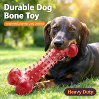 Jouet à mâcher pour chien, jouet en forme d'os pour chien, jouet en caoutchouc pour les molaires, nettoyage des dents, résistant et durable pour les chiens agressifs