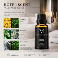 Huile de Diffusion Hôtelière 30ml – Huile Parfumée Collection Hôtelière pour Hall et Chambres d'Hôtes – Huile de Diffusion Hôtelière OEM ODM