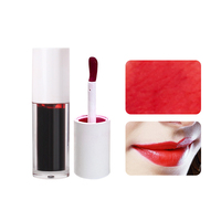 Vente en gros de 6 couleurs brillant à lèvres changeant de fruits marque privée maquillage quotidien cosmétique avec glaçure hydratante imperméable à l'eau teinte pour les lèvres