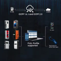 Borne Recharge Rapide DC EV Solaire 60/80/120/160/180kW OCPP CSMS Anti-tempête Sable Antivol Prépayé