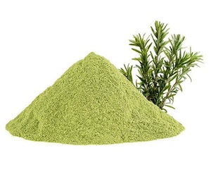 Poudre d'extrait de romarin naturel, riche en antioxydants, ingrédient à base de plantes pour les compléments alimentaires, les aliments fonctionnels, les soins de la peau et des cheveux - Product Image 1