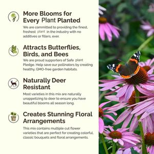 1/<span class=keywords><strong>4</strong></span> Lb Biodegradable Verano Perenne Sucesión Flor Planta Fibra mixta para jardinería 120.000 + - Product Image 3