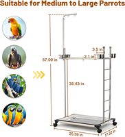 Grand support de perroquet en acier inoxydable, support de jeu pour perroquet avec bols d'alimentation