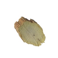 Tranches de tige d'Akebia (Chuan Mu Tong) et de Clematis Armandii, séchées naturellement, avec une durée de conservation de 1 an, provenant de Bozhou, Chine, pour usage en herboristerie