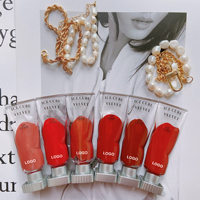 Lápiz Labial Nude de Alta Calidad con Etiqueta Personalizada, Cosmético Rojo Sexy Mate Cremoso, Líquido Mineral Impermeable, Brillo Labial en Tamaño de Viaje