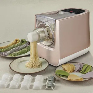 Offre Spéciale 300W électrique à usage DOMESTIQUE mini intelligent frais pâtes macaronis nouilles faisant la machine prix