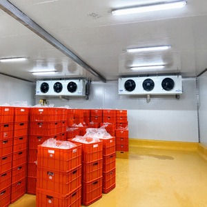 ห้องเย็นสำเร็จรูปแบบเดินเข้าได้ อุณหภูมิ -18 องศาเซลเซียส สำหรับเนื้อสัตว์และอาหารทะเล - Product Image 2