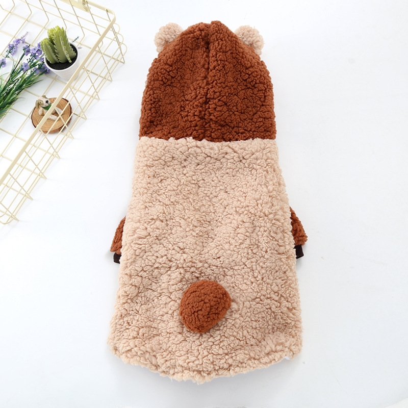 Vêtements pour Golden Retriever