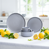 Service de table contemporain en grès gris |   Assiettes, bols et tasses |   Céramique de qualité supérieure |   Résistant au four, anti-fuite et compatible micro-ondes