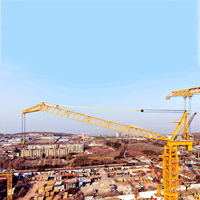 Grue à flèche oscillante DAHAN DHL3300, capacité de 220 tonnes, hauteur libre de 222 m, moteur, moment de levage de 3300 t.m, équipement de construction lourd