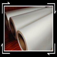 Rouleau de Film PET DTF de haute qualité 30cm 60cm Peel à chaud 75U épaisseur imprimante DTF 24 pouces Film DTF pour transfert de chaleur T-shirt vêtements