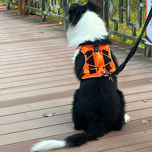 Correa para mascotas estilo chaleco, correa para el pecho reflectante, transpirable y ajustable para perros medianos, esencial para paseos nocturnos. - Product Image 1