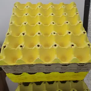 สายการผลิตเครื่องถาดไข่สมบูรณ์ด้วยเครื่องเป่า