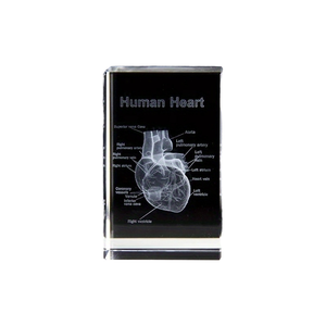 JINCUI personalizado K9 cristal 3D corazón humano modelo grabado láser hogar Oficina decoración tallada grabado cardiología regalo trofeo - Product Image 1
