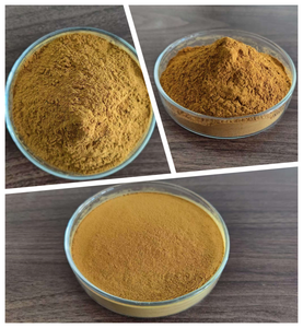 Extrait d'herbes naturelles, extrait de Rhum <span class=keywords><strong>Palmatum</strong></span> L, poudre d'extrait de rhubarbe, extrait de rhubarbe - Product Image 3