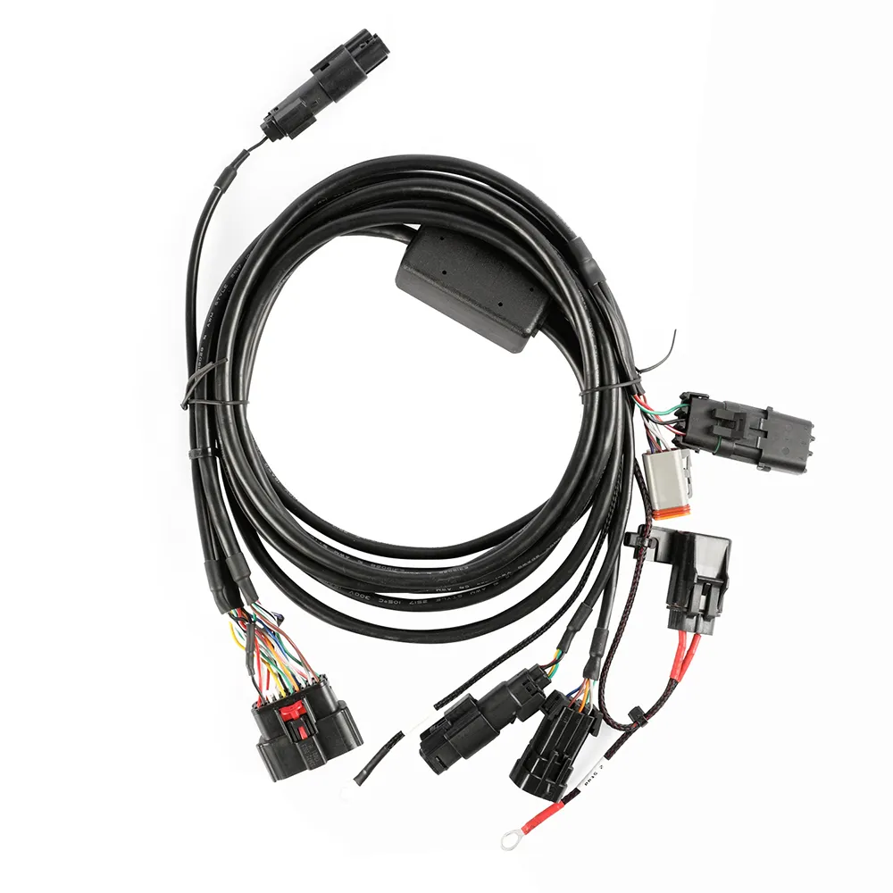 Arnés de cableado de cable impermeable de nueva energía OEM ODM cable negro