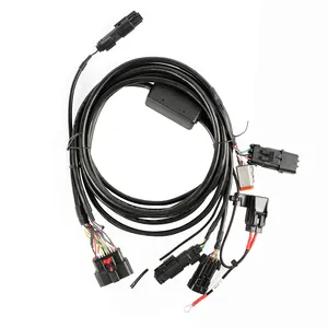 OEM ODM黑色电缆新能源防水电线线束