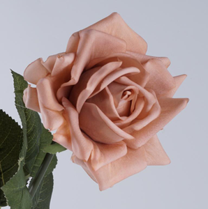 Rose Artificiali Real Touch per Decorazioni Matrimoniali Autunnali, Eventi e Feste - Fornitura all'Ingrosso - Product Image 5