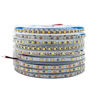 Bande LED 2835 CE RoHS en gros, 12V 24V, 120 LED, IP20, éclairage intérieur/extérieur pour résidence et aménagement paysager, lampe en cuivre