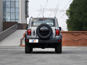 2023 gwm xe tăng 300 off-road 2.0T chinh phục giá rẻ sử dụng 4WD 2.0gdi Turbo với khung gầm trong suốt áo giáp underbody - Product Image 6