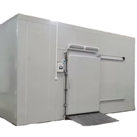 Unité de stockage frigorifique mobile complète personnalisée, capacité de refroidissement de 5 tonnes, congélation rapide à -50°C