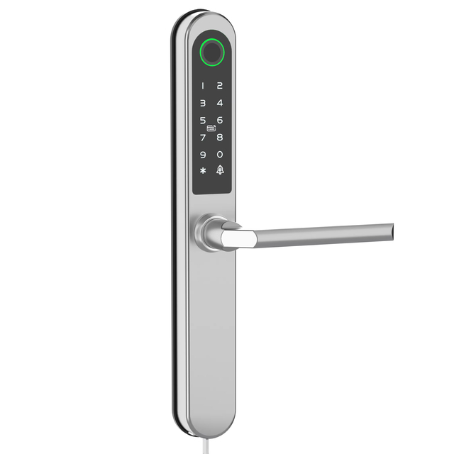 Smart Fingerprint Door Lock Easy Install Bridge Aluminum IP65 Waterproof Compatible with TTLOCK App Multiple Mortise Types