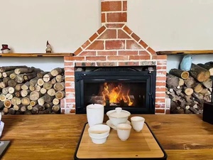 Poêle à bois en fonte encastrable pour intérieur, foyer domestique - Product Image 4