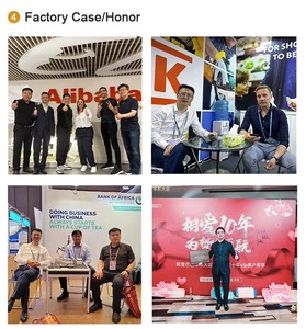 <span class=keywords><strong>Ferro</strong></span> da stiro a vapore professionale 2000W per abbigliamento elettrico con funzione Anti-gocciolamento e soleplate in ceramica uso domestico - Product Image 4