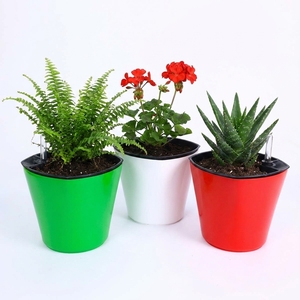 Double Layer Heavy Duty PP <b>Plastic</b> Self Watering <b>Planter</b> Boxes with Water Indicator Bulk Sales Size 18 cm - Product Image 6