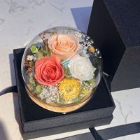 Flor Preservada Real en Cúpula de Cristal, Regalo del Día de la Madre para Mamá, Mujer, Navidad y Ocasiones de Graduación