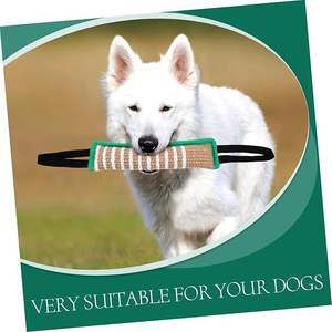 Sarı kenevir çiğnemek sopa ve taşlama hedefler köpek eğitim malzemeleri jüt çevre dostu Pet malzemeleri yapılmış köpek oyuncakları taşıyan - Product Image 4